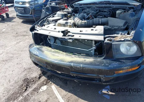 2007 Ford Mustang V6 Deluxe/V6 Premium from USA, damaged, VIN 1ZVFT80N675361920